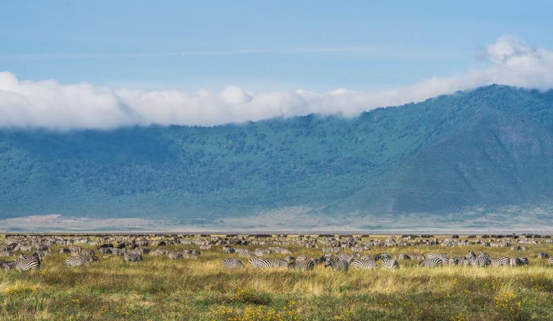 1 Night - Ngorongoro Crater