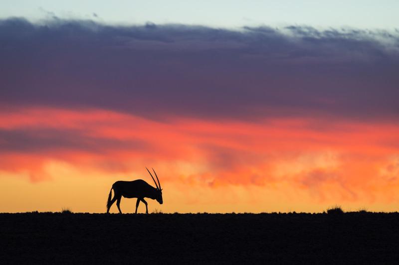 Day 12: NamibRand Nature Reserve Exploration – 1 Night