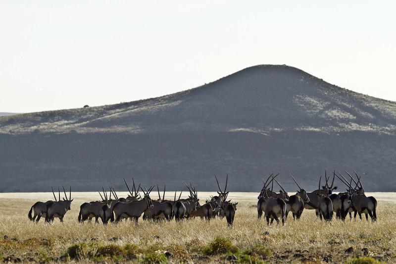 Days 11-13: Unearth Damaraland's Secrets | 2 Nights
