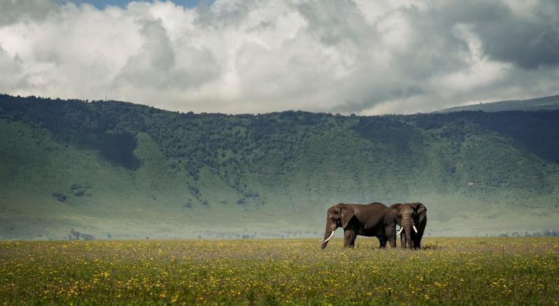 2 Nights - Ngorongoro Crater
