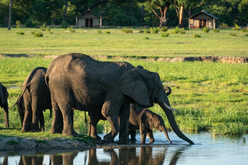 Day 3-5: Expedition into Hwange National Park | 3 Nights