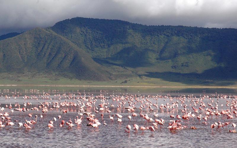 Day 8-9: Ngorongoro Crater, Tanzania