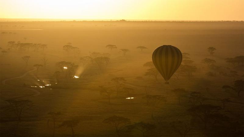 2 Nights - Serengeti National Park 