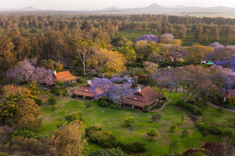 1 Night - Arusha