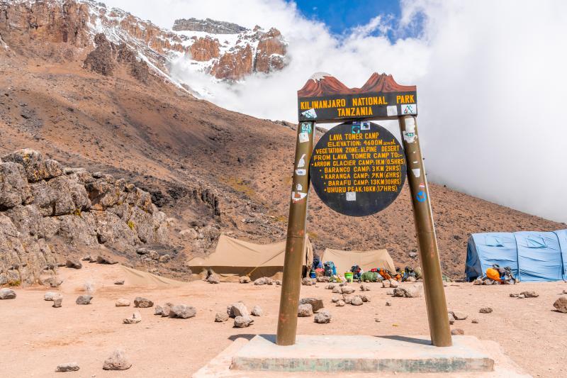 Day 4 -  Shira Camp (3,845 m) — Lava Tower (4,630 m) — Barranco Camp (3,960 m)  