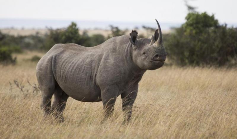 4 Nights - Samburu National Reserve