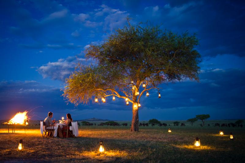 2 Nights - Serengeti National Park