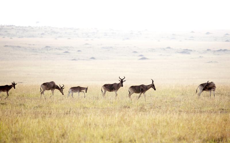 Lake Manyara National Park & Departure