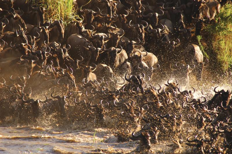 2 Nights – North Serengeti