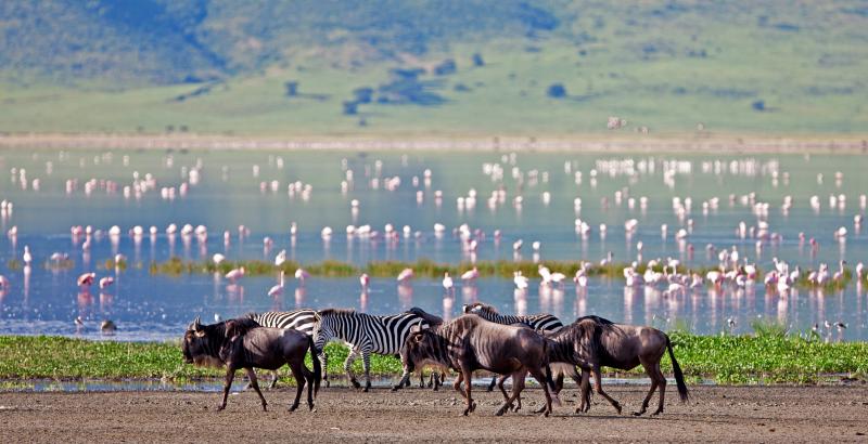 2 Nights - Ngorongoro Crater