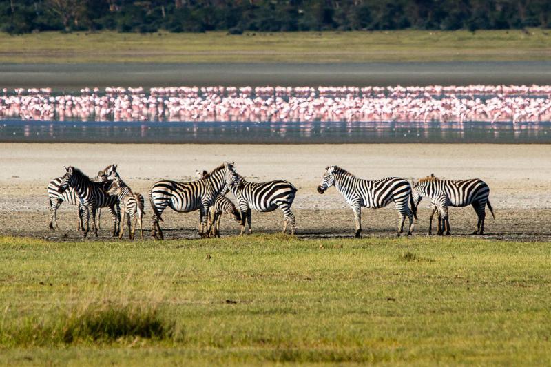 3 Nights – Lake Manyara, Ngorongoro Crater + Hadzabe Bushman Cultural Tour