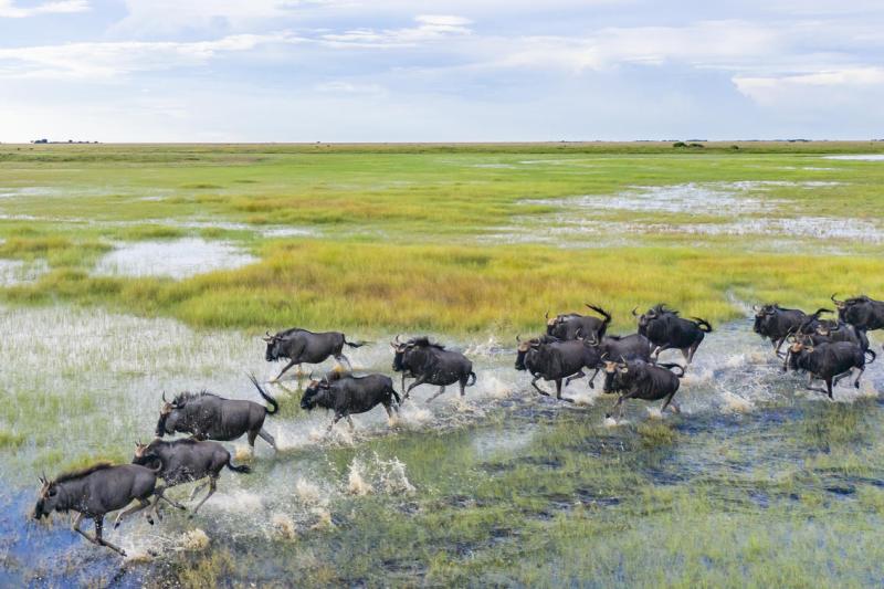 Day 2 and 3 - Liuwa Plain Expedition
