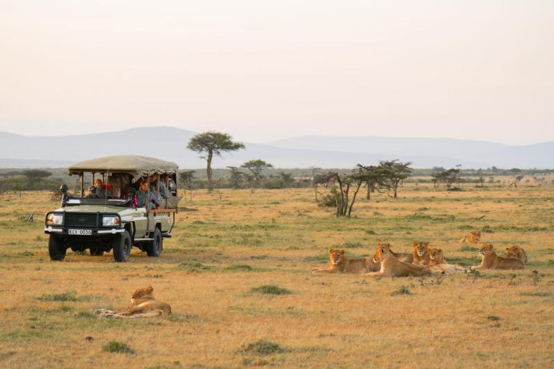 Day 2-4: Maasai Mara Game Reserve