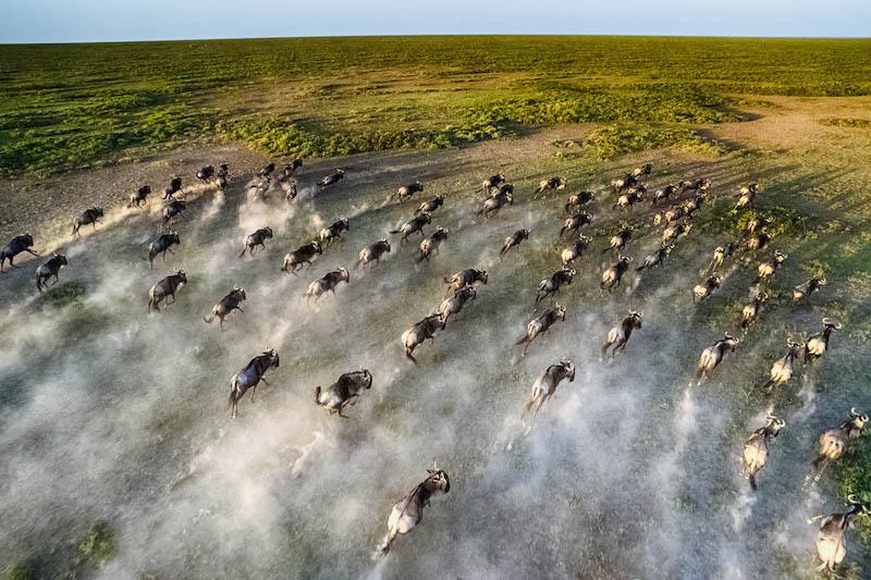 3 Nights - Serengeti National Park | Tanzania