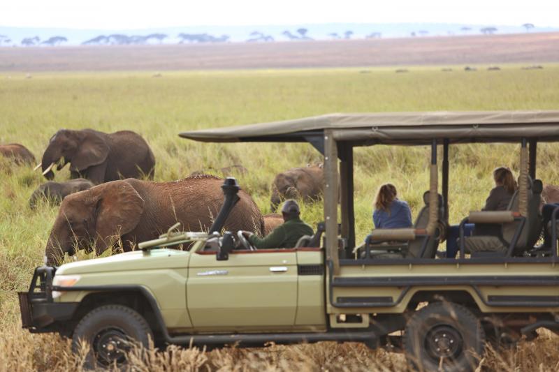 2 Nights - Ngorongoro Crater