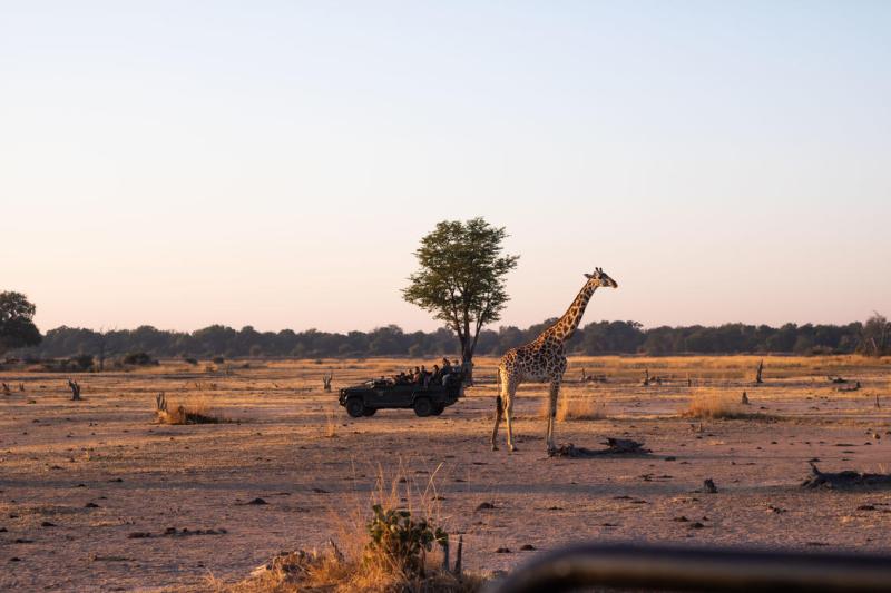 Days 2-4: Luangwa Lagoon Adventure | 2 Nights