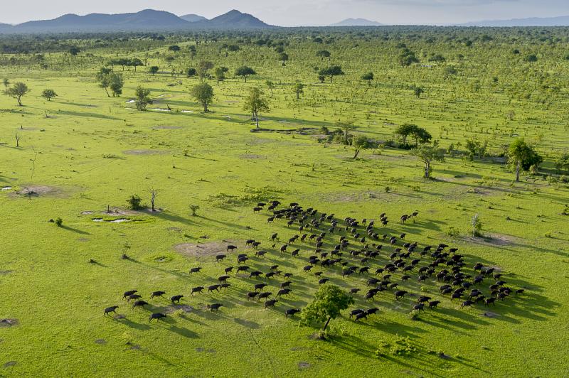 3 Nights - Selous Game Reserve