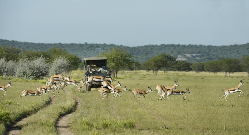 Days 13-16: Etosha's Wildlife Haven | 3 Nights