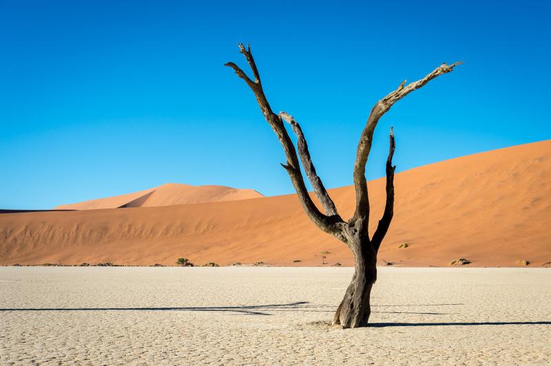 Day 9: Sossusvlei's Majestic Dunes