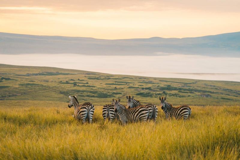 2 Nights - Ngorongoro Crater