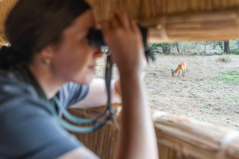 Days 4-6: Bilimungwe Magic | 2 Nights