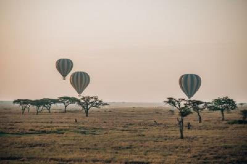 Days 5–7 - Ngorongoro Crater, Olduvai Gorge & Serengeti