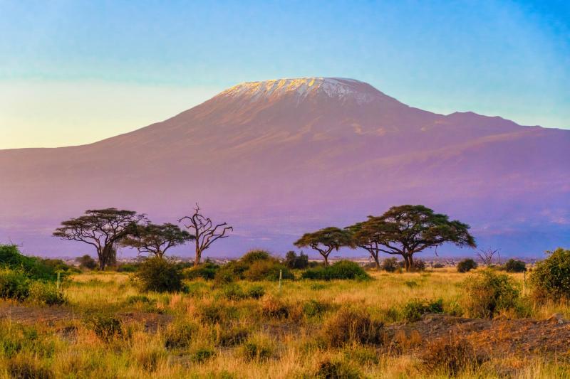 Day 1  – Moshi Kilimanjaro 