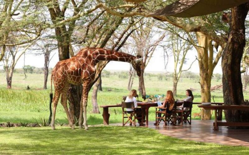 3 Nights - Lewa Wildlife Conservancy