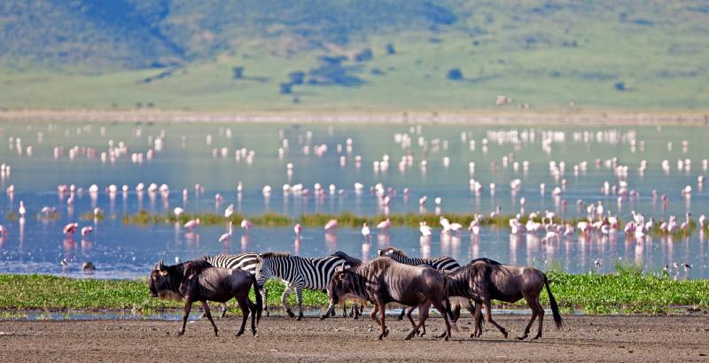 2 Nights – Ngorongoro Conservation Area