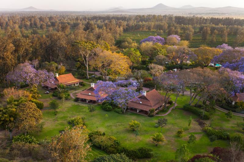 1 Night Arusha