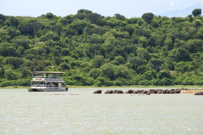 Days 4–6: Queen Elizabeth National Park (2 Nights)